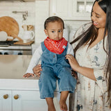 Baby Bandana Bibs