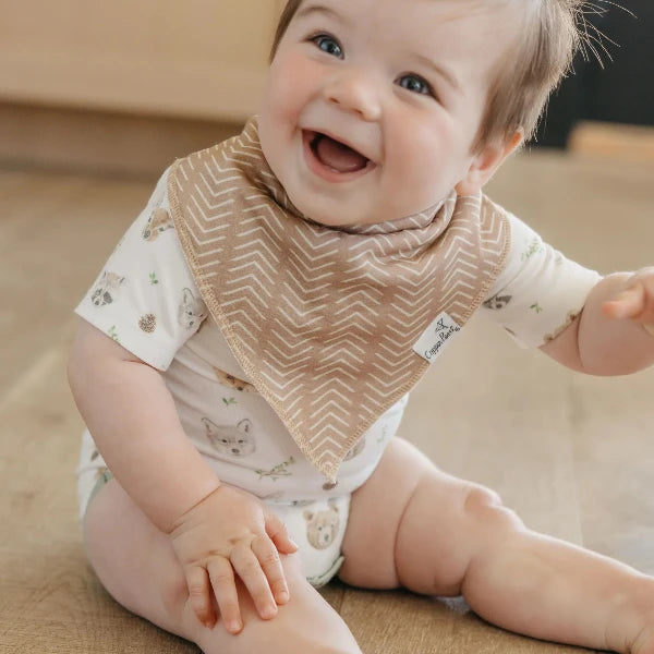 Baby Bandana Bibs