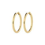 Charm Hoop Earrings