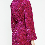Cerise Velvet Sequin Dress