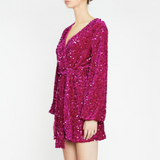 Cerise Velvet Sequin Dress