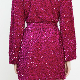 Cerise Velvet Sequin Dress