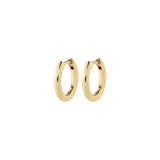Charm Hoop Earrings