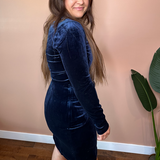 Kelly Velvet Dress