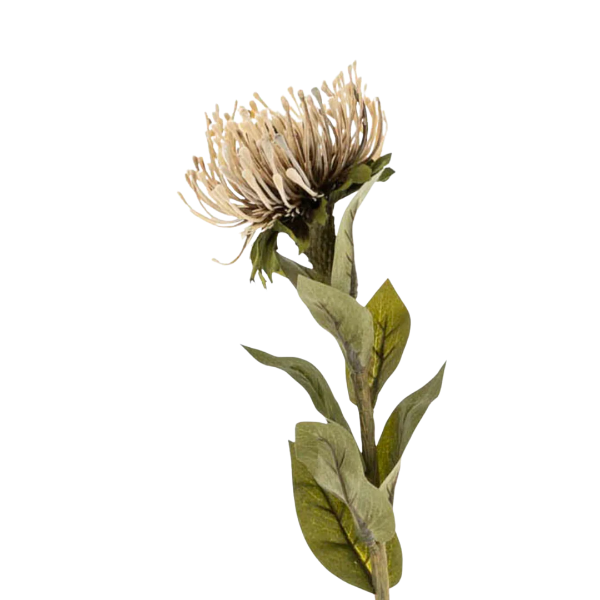 Pin Cushion Floral Stem