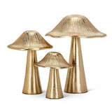 Ribbed Mushroom