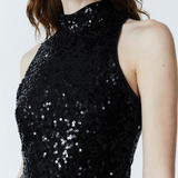 Zion Sequin Top