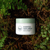 Essential Face Cream