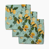 Geometry Dish Cloth 3 Pack