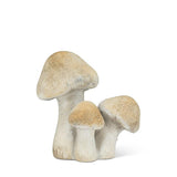 Mushroom Cluster