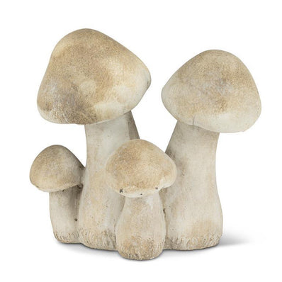 Mushroom Cluster