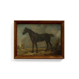 Framed Horse Canvas Wall Art