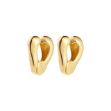 Free Earrings