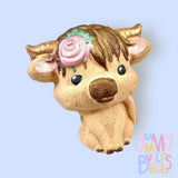 Highland Cow Bath Fizz