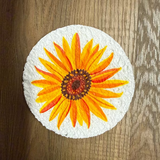 Compostable Autumn Bounty Sponge