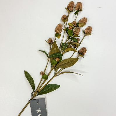 Globe Amaranth Spray