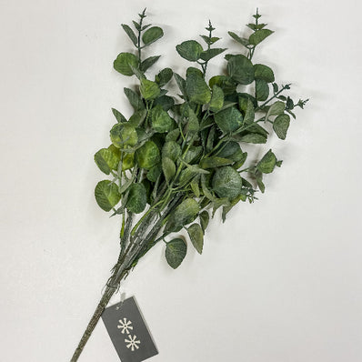 Green Eucalyptus Spray