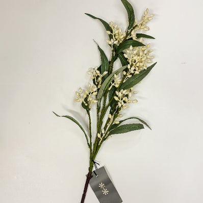 Flowering Eucalyptus Branch