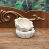 Lotus Catchall Tray