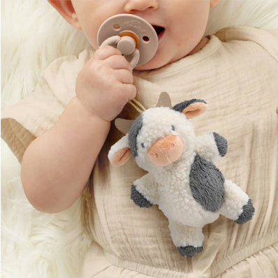Bitzy Pal Pacifier & Plush