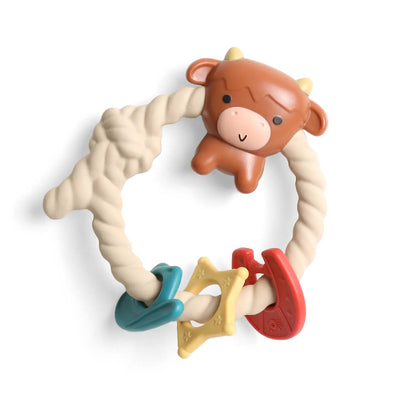 Ritzy Rattle Silicone Teether