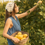 Molly Sleeveless Blouse