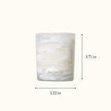 Frasier Fir Tidings 6.5oz Poured Candle