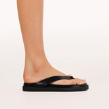 Antonie Sandal