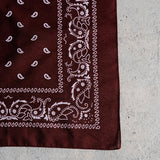 Classic Western Bandana