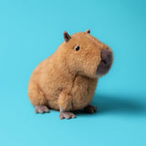 Clyde Capybara