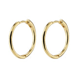 Eanna Hoops