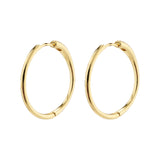 Eanna Hoops