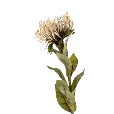 Pin Cushion Floral Stem