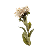 Pin Cushion Floral Stem
