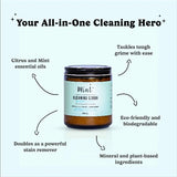 Mint Cleaning Scrub