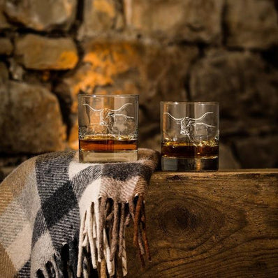2 Glass Tumblers - Texas Longhorn