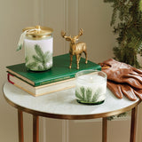 Frasier Fir Luminary