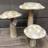 Wood Whitewash Mushroom