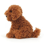 Copper Labradoodle