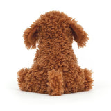 Copper Labradoodle