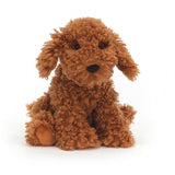 Copper Labradoodle